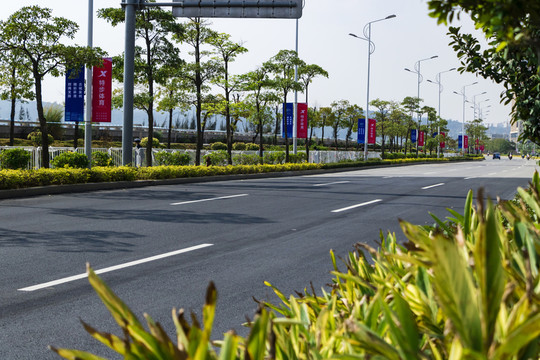 國際公路自行車賽