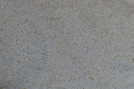 散大米