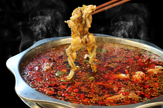 跳水美蛙 美蛙魚