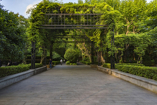 上海復興公園