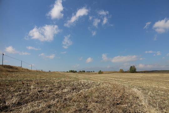 藍天下的田野