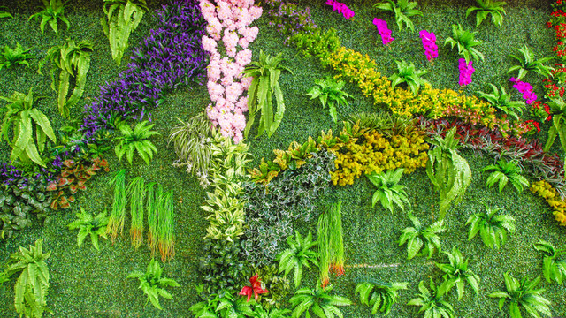 綠植墻 植物墻 綠化墻