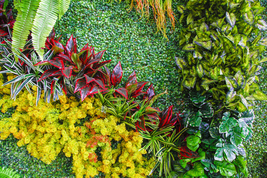 綠植墻 植物墻 綠化墻