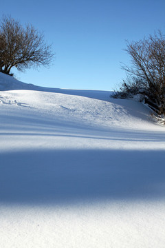 一個美好的冬日，粉雪和陽光