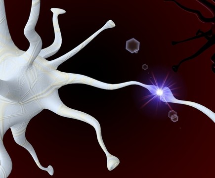 neurally
