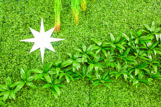 綠植墻 花墻