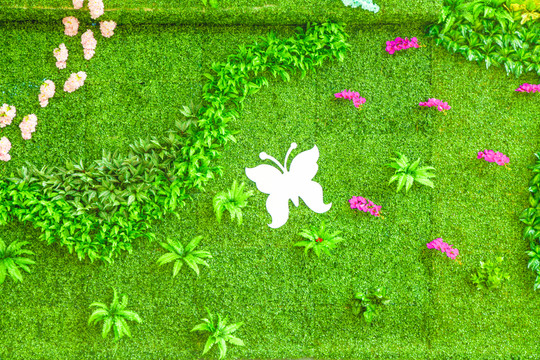 綠植墻 花墻