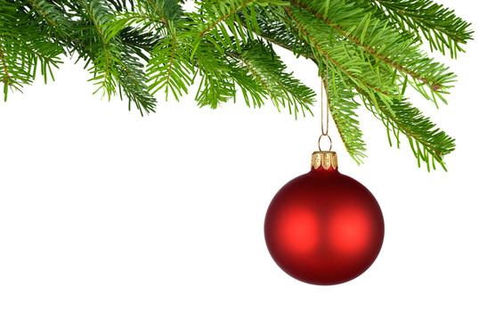 红色发光圣诞摆设挂在新鲜的树枝上