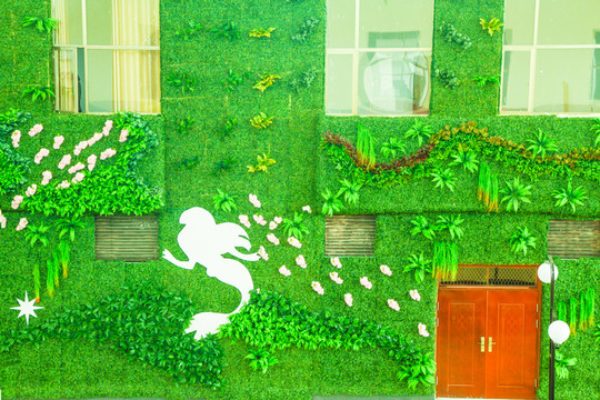 綠色植物墻