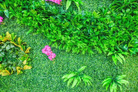 綠植墻 花墻