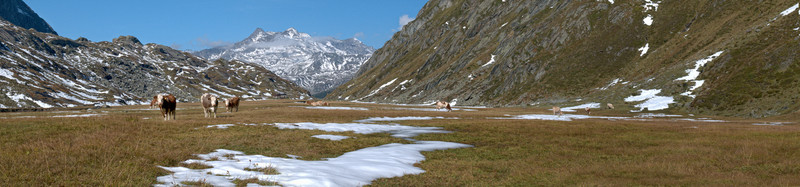 山