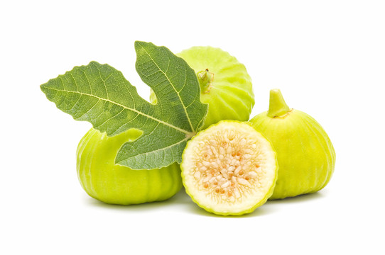 農(nóng)業(yè)