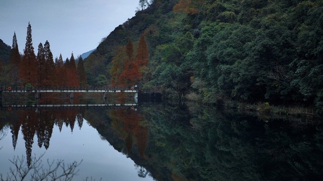 寧海森林溫泉