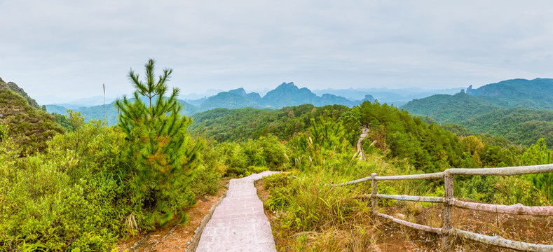 寬幅森林遠(yuǎn)山風(fēng)光
