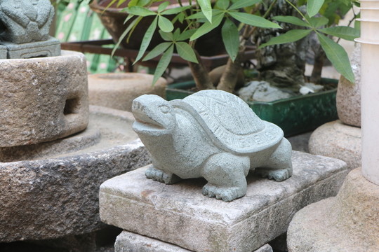 石龜