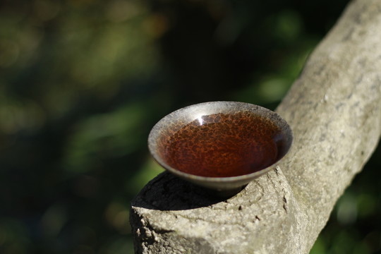 戶外品茶