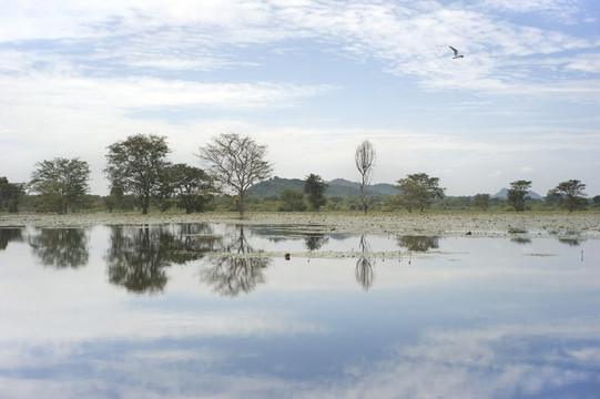 藍(lán)色