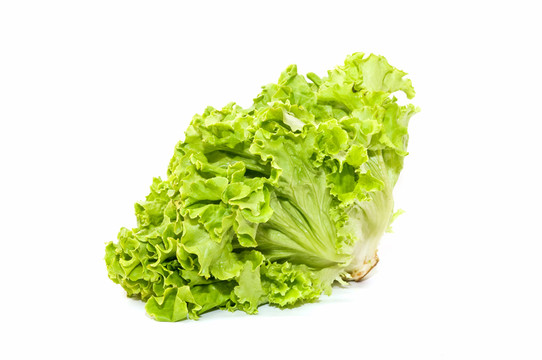 農(nóng)業(yè)