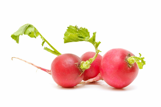 農(nóng)業(yè)