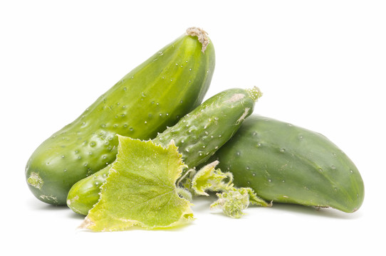 蔬菜