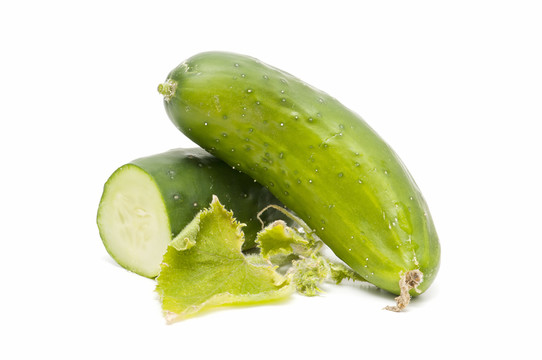 蔬菜