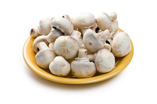 食物