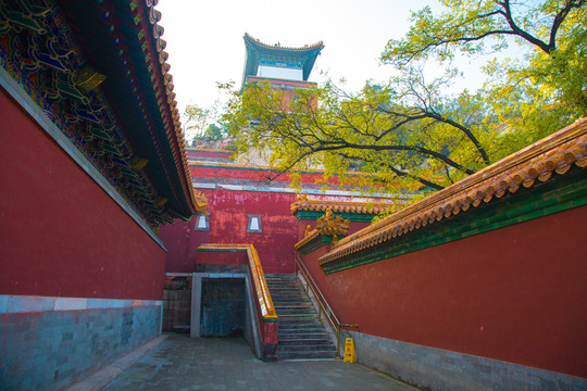 頤和園須彌靈境