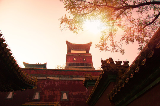 頤和園須彌靈境