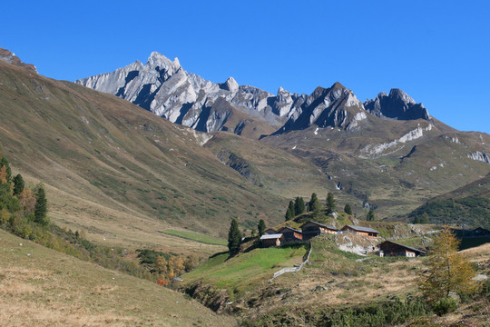 山