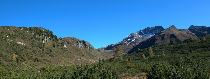 山