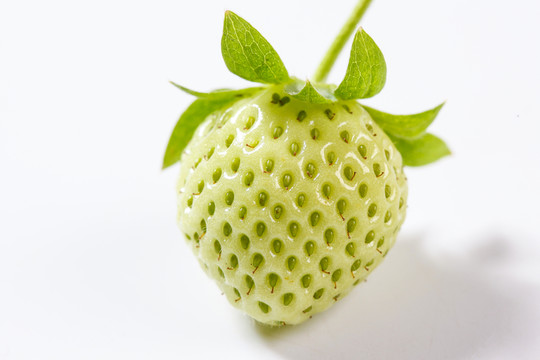 草莓高清