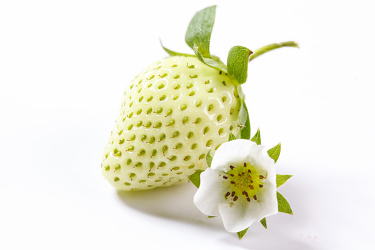 綠草莓