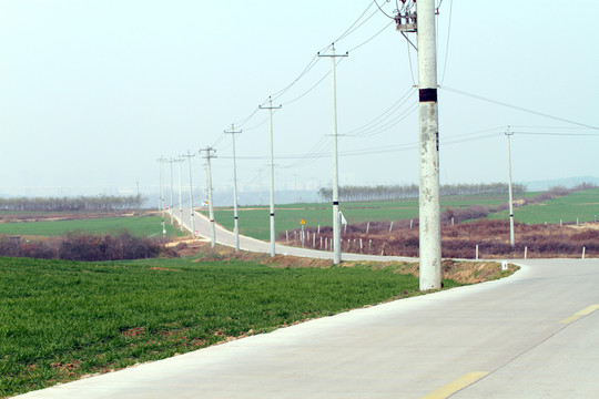 電線桿與路