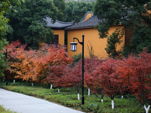 路燈