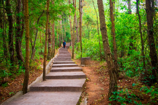 山林小路