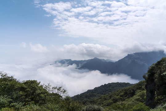 梵凈山云海