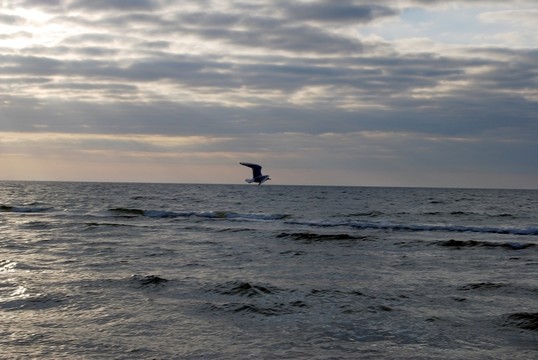在海上