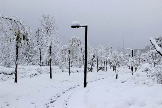 雪景