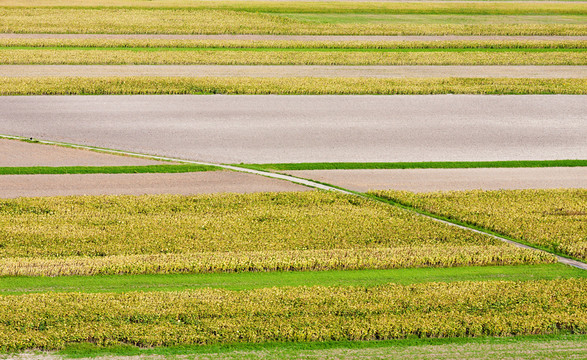 農(nóng)業(yè)