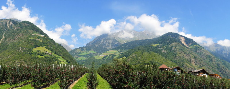 從vinschgau texel組看到全景