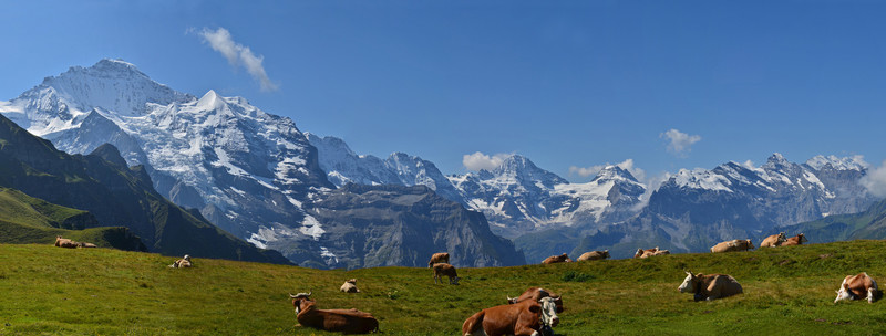 山