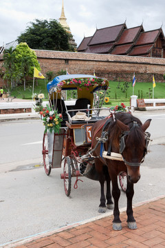 在lampang泰國的馬車