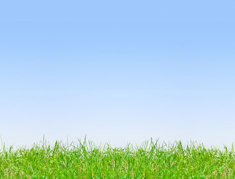 夏