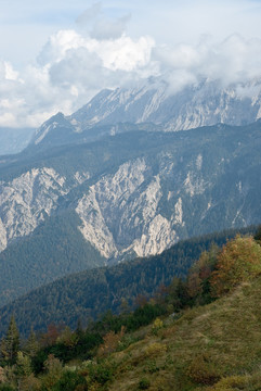 山