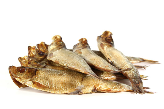 鯡魚