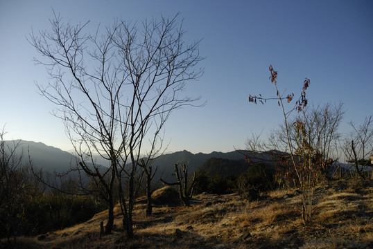 山