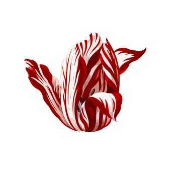 現(xiàn)在的