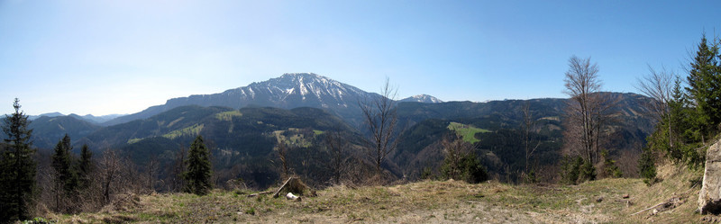 ？tscher
