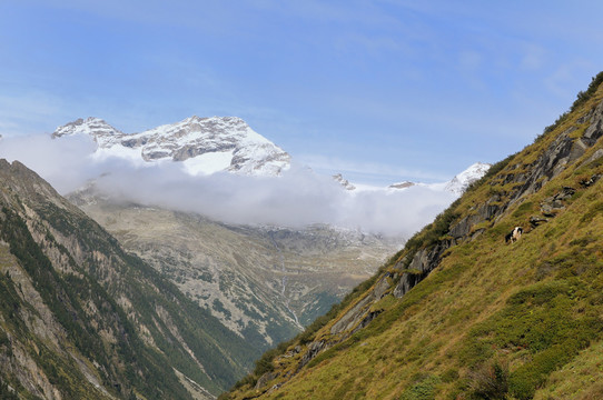 山
