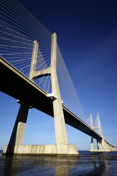 橋